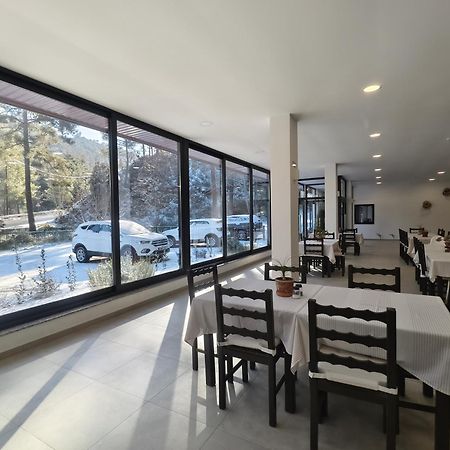 Rifugio Retreat Bed&Breakfast カコペトリア エクステリア 写真