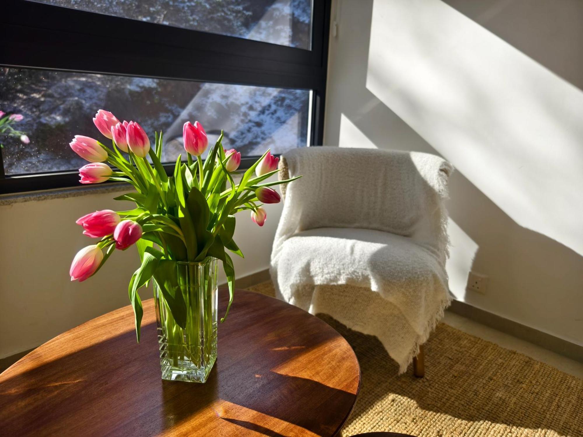 Rifugio Retreat Bed&Breakfast カコペトリア エクステリア 写真