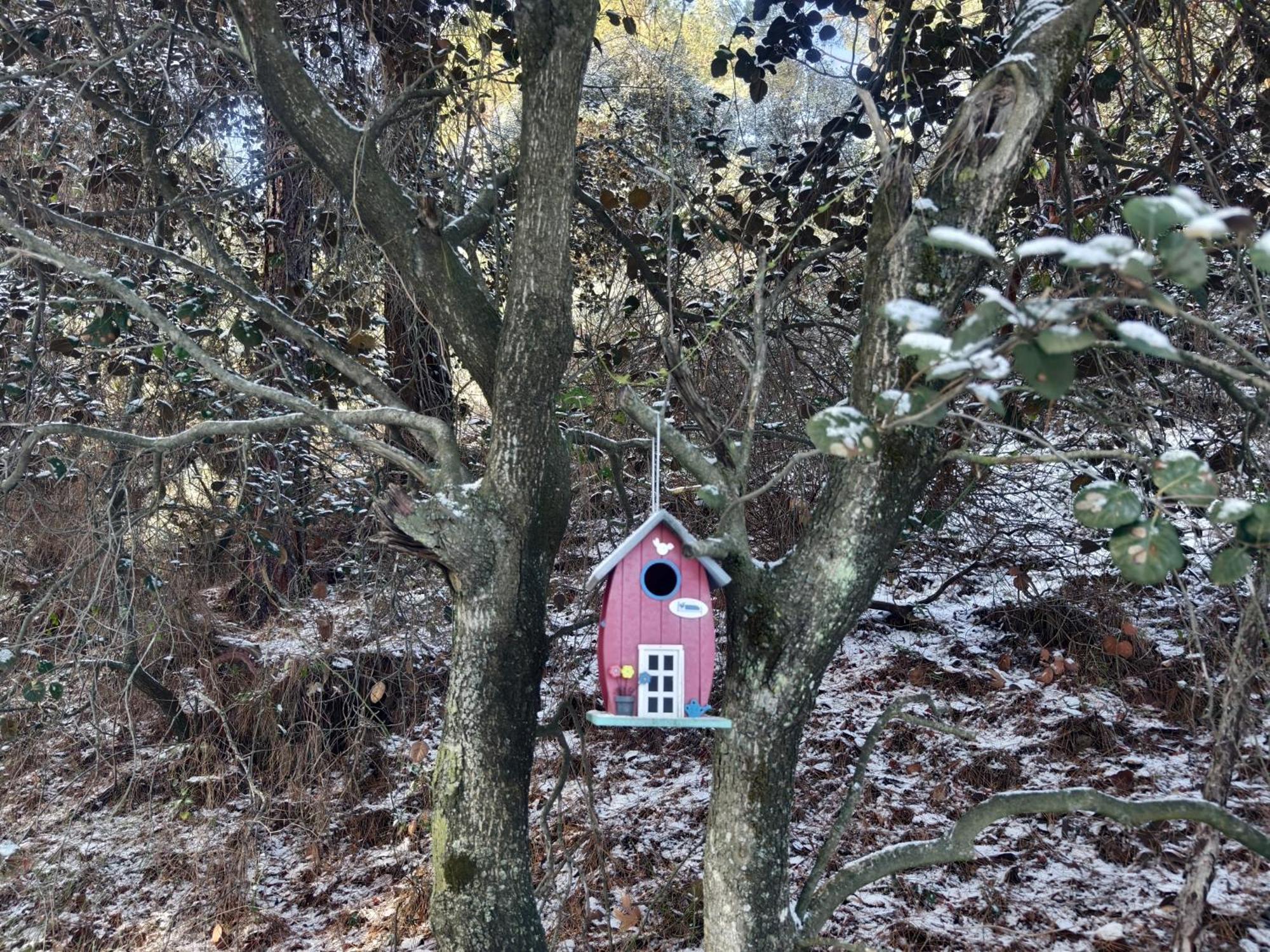 ホテル Rifugio Retreat Bed&Breakfast カコペトリア エクステリア 写真