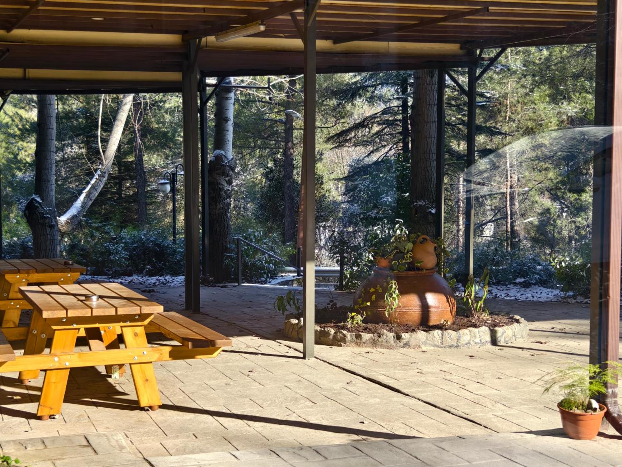 Rifugio Retreat Bed&Breakfast カコペトリア エクステリア 写真